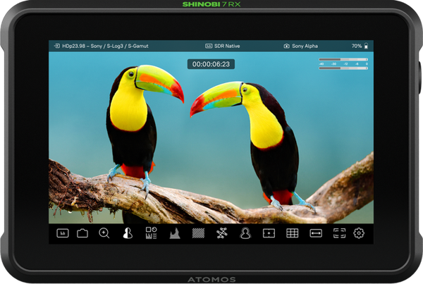 Atomos Shinobi 7 RX - 3