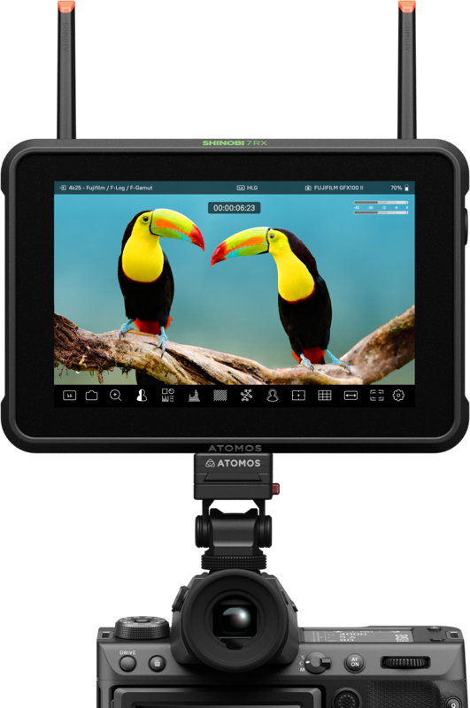 Atomos Shinobi 7 RX - 7