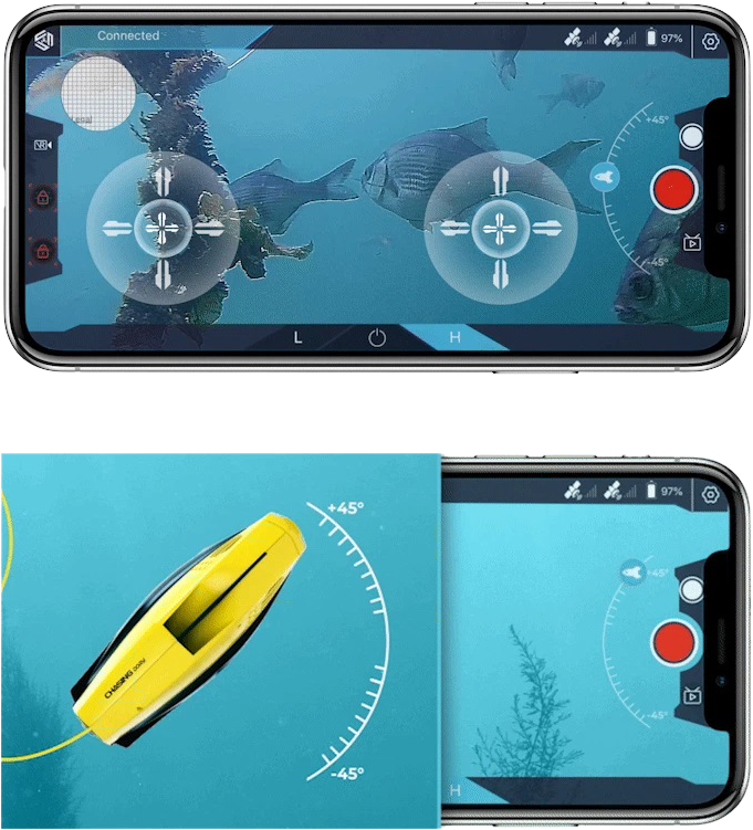 Chasing Dory - 4