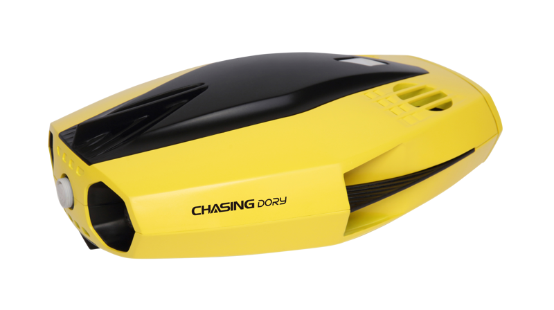 Chasing Dory - 8