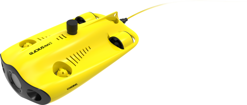 Chasing Gladius Mini S 100m - 2