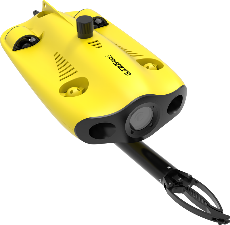 Chasing Gladius Mini S 100m - 8