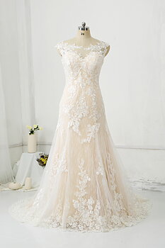 Jamie Collection  DPP0379