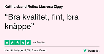 Katthalsband Reflex Ljusrosa  Ziggy från Red Dingo