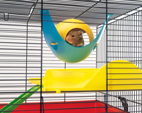 Hamsterhus plast Sputnik Savic