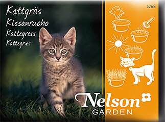 Kattgräs i fröpåse