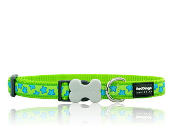 Hundhalsband Limegrönt med turkosa stjärnor från Red Dingo