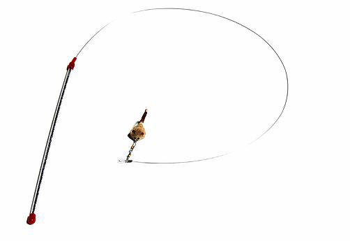 Kattleksak Cat Catcher Go Cat