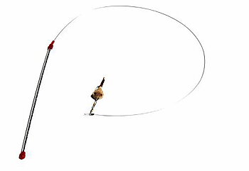 Kattleksak Cat Catcher Go Cat