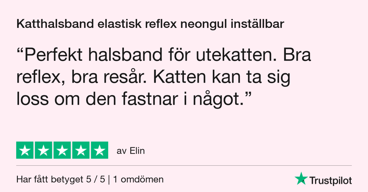 5 stjärnor för katthalsband elastiskt reflex neongul inställbar