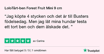 Tårta från Lolo Pets är alla hundars favorit och grymt uppskattad