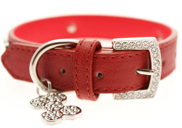 Hundhalsband + koppel - Rött läder med strassdetaljer - 4