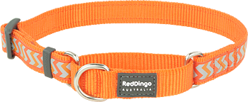 Hundhalsband halvstryp Reflex Orange från Red Dingo