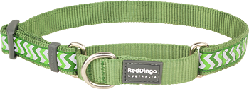 hundhalsband halvstryp Reflex Grön från Red Dingo