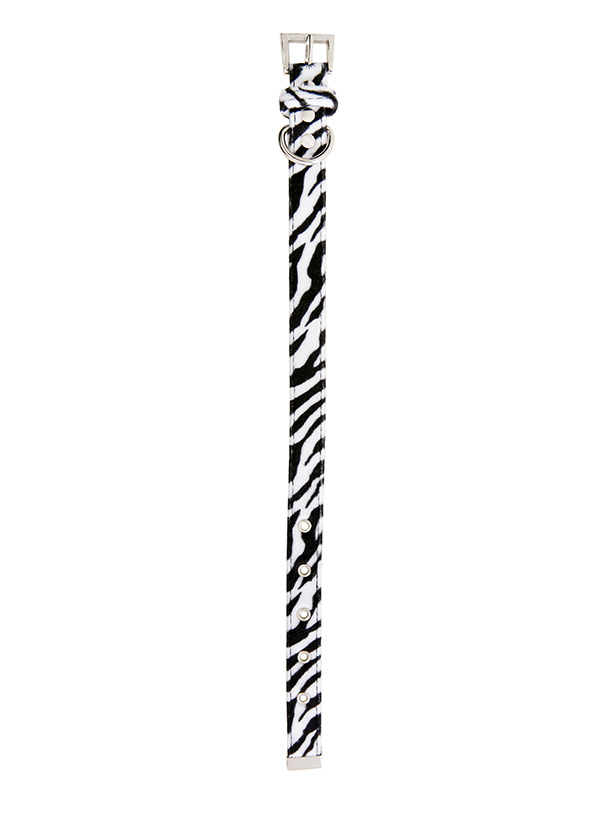 Hundkoppel och hundhalsband Zebra - 6