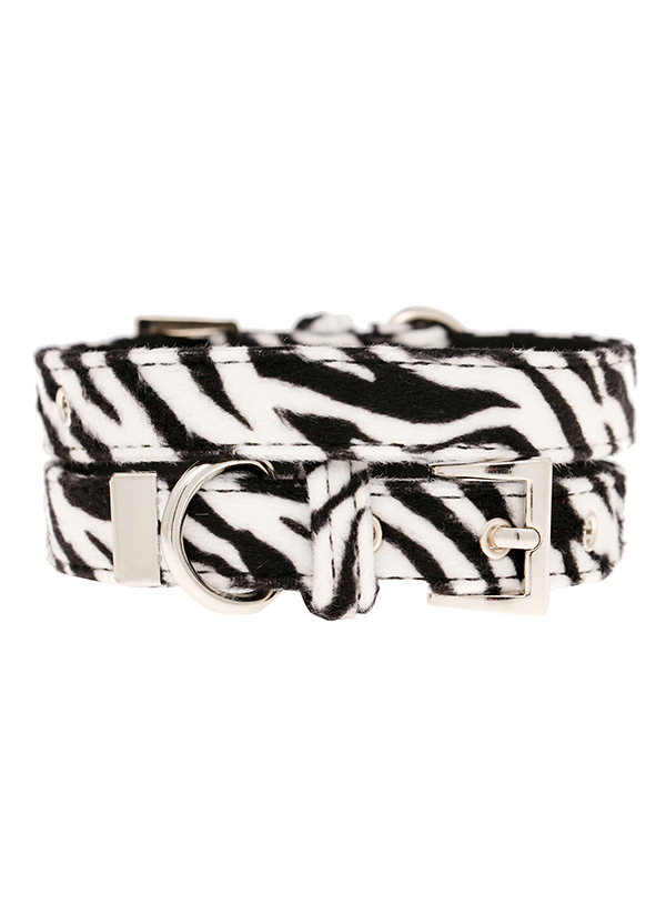 Hundkoppel och hundhalsband Zebra - 3