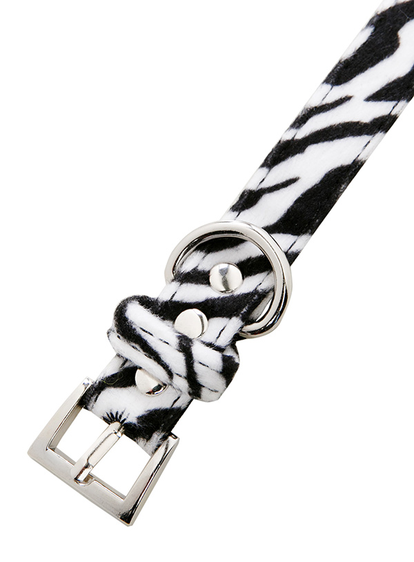 Hundkoppel och hundhalsband Zebra - 4