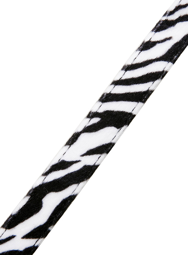 Hundkoppel och hundhalsband Zebra - 5