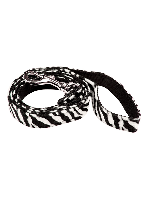 Hundkoppel och hundhalsband Zebra - 2