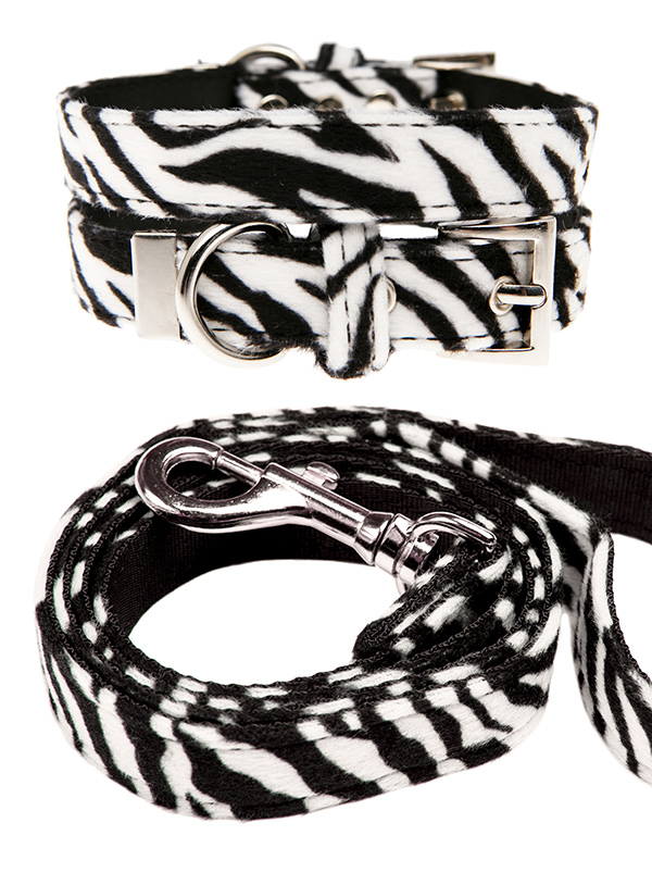 Hundkoppel och hundhalsband Zebra