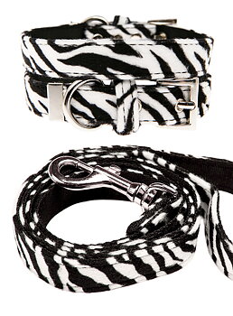 Hundkoppel och hundhalsband Zebra