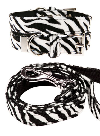 Hundkoppel och hundhalsband Zebra