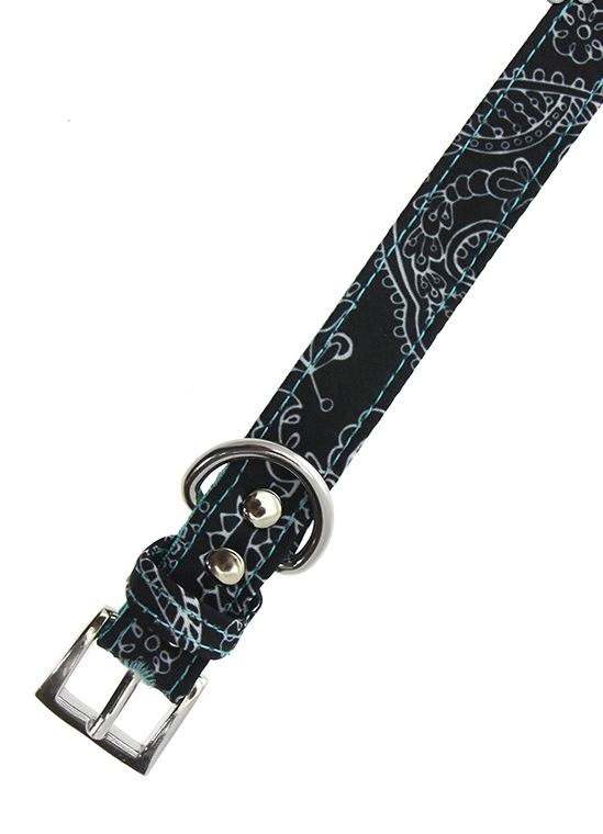 Hundhalsband och koppel i set  Paisley Mönster - 2