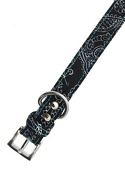 Hundhalsband och koppel i set  Paisley Mönster