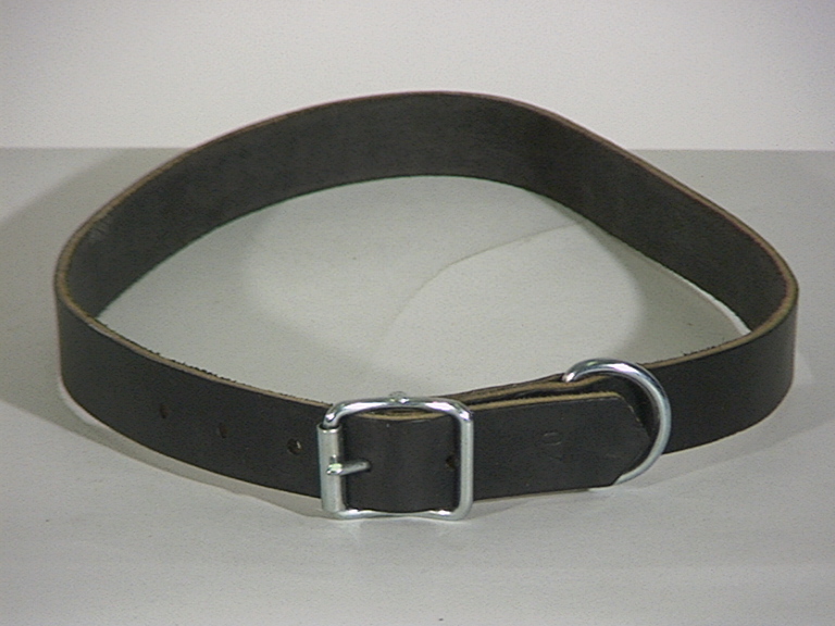 Halsband Läder Alac svart