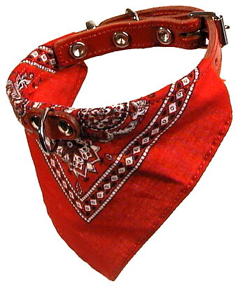 Halsband med  snusnäsduk Röd