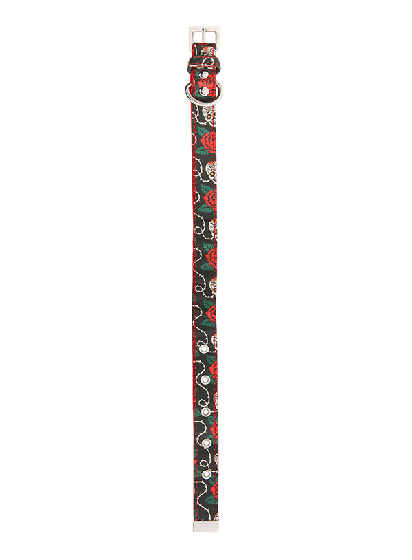 Hundkoppel och hundhalsband - Döskalle och rosor -  - 6