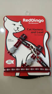 Kattsele Röd Fisk Skelett från Red Dingo - 2