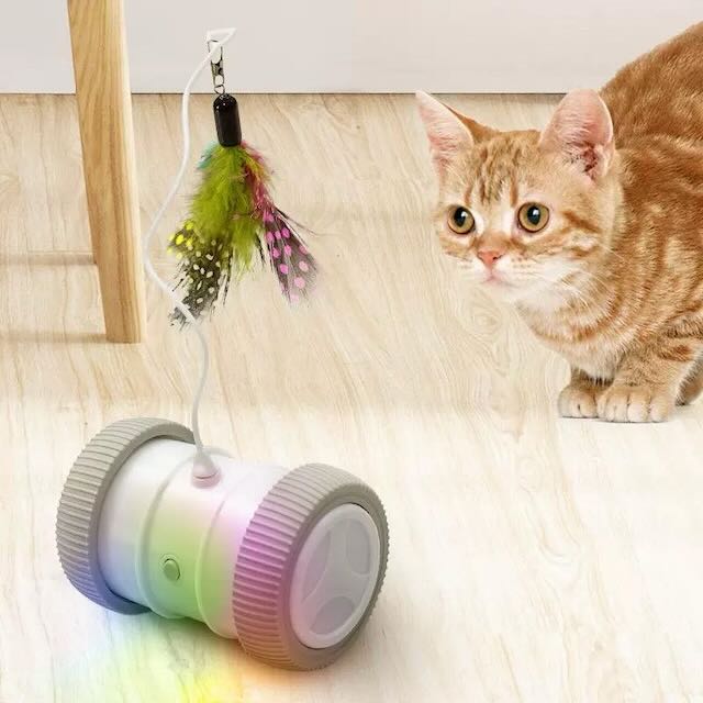 Katt robot 