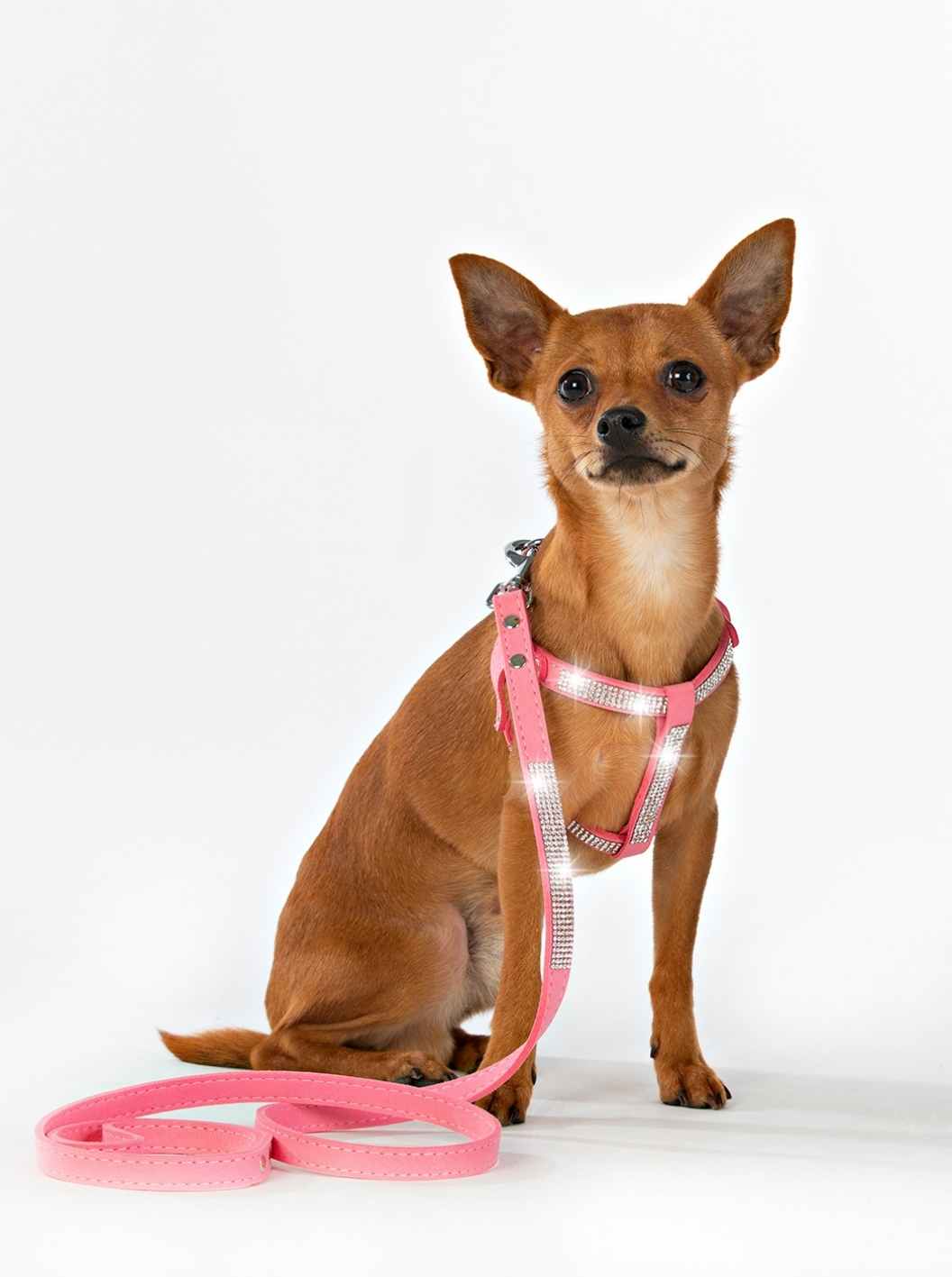 Hundsele Strass Ljus Rosa inkl. koppel strl M - 7