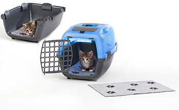 KATTMATTA