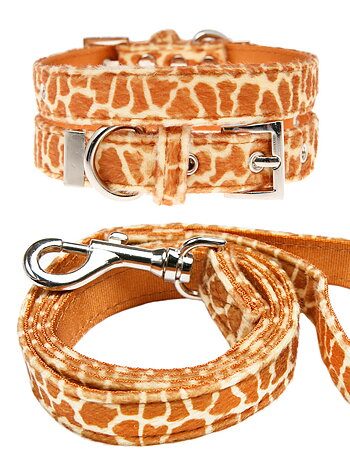 Hundkoppel och hundhalsband Giraff