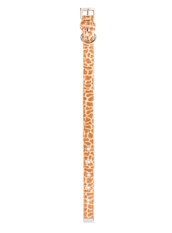 Hundkoppel och hundhalsband Giraff - 6