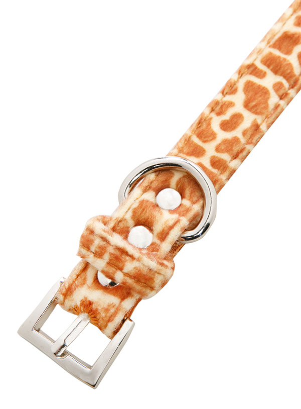 Hundkoppel och hundhalsband Giraff - 4