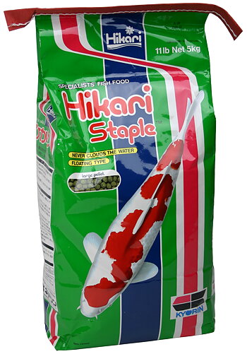 Hikari Staple Large