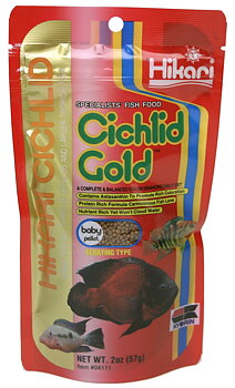 Hikari Ciklid Gold Färg Baby