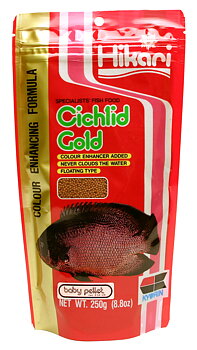 Hikari Ciklid Gold Färg Baby
