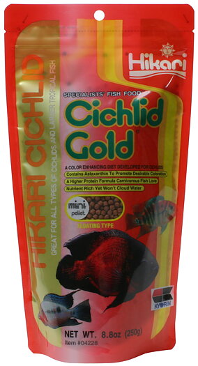 Hikari Ciklid Gold Färg Mini