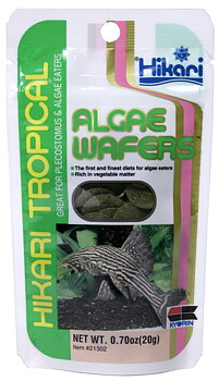 Hikari Algae Wafers