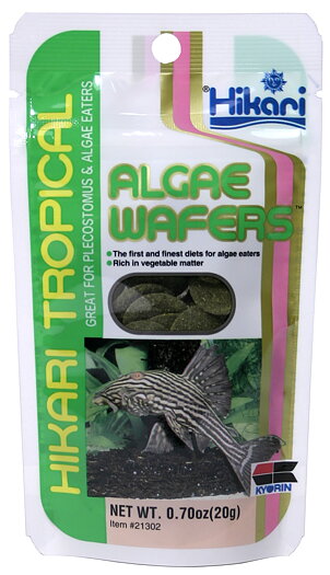 Hikari Algae Wafers