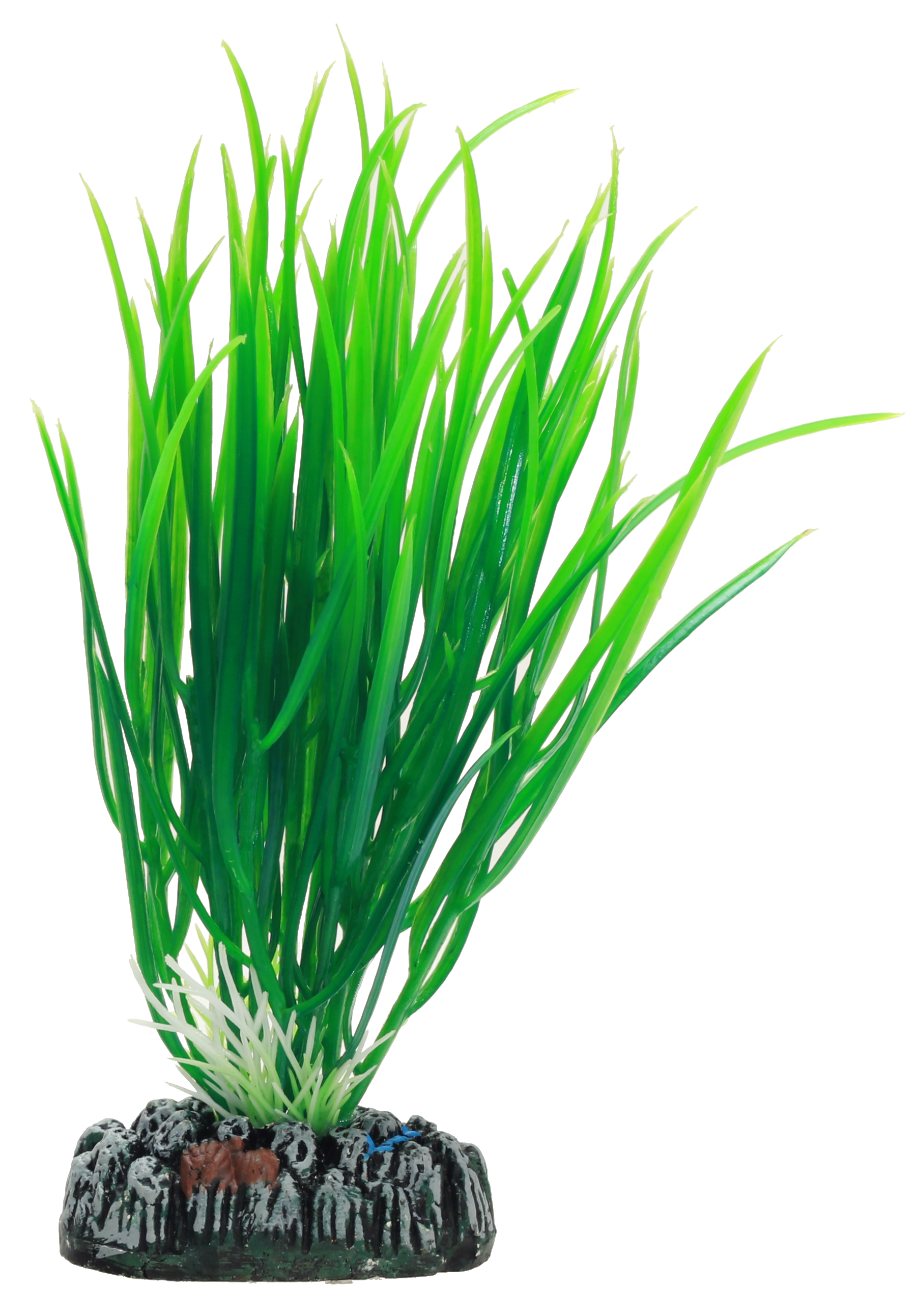 Plastväxt Cyperus Hobby