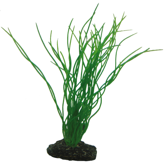 Plastväxt Sagittaria Hobby