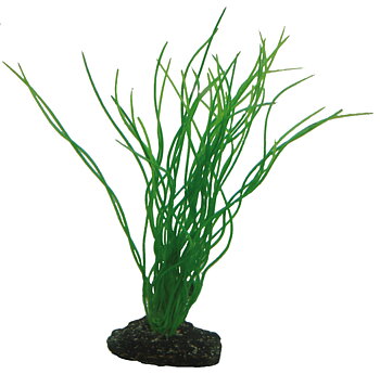 Plastväxt Sagittaria Hobby