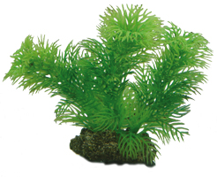 Plastväxt Egeria Hobby