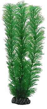 Plastväxt Egeria Hobby