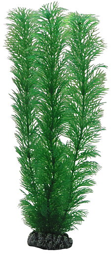 Plastväxt Egeria Hobby